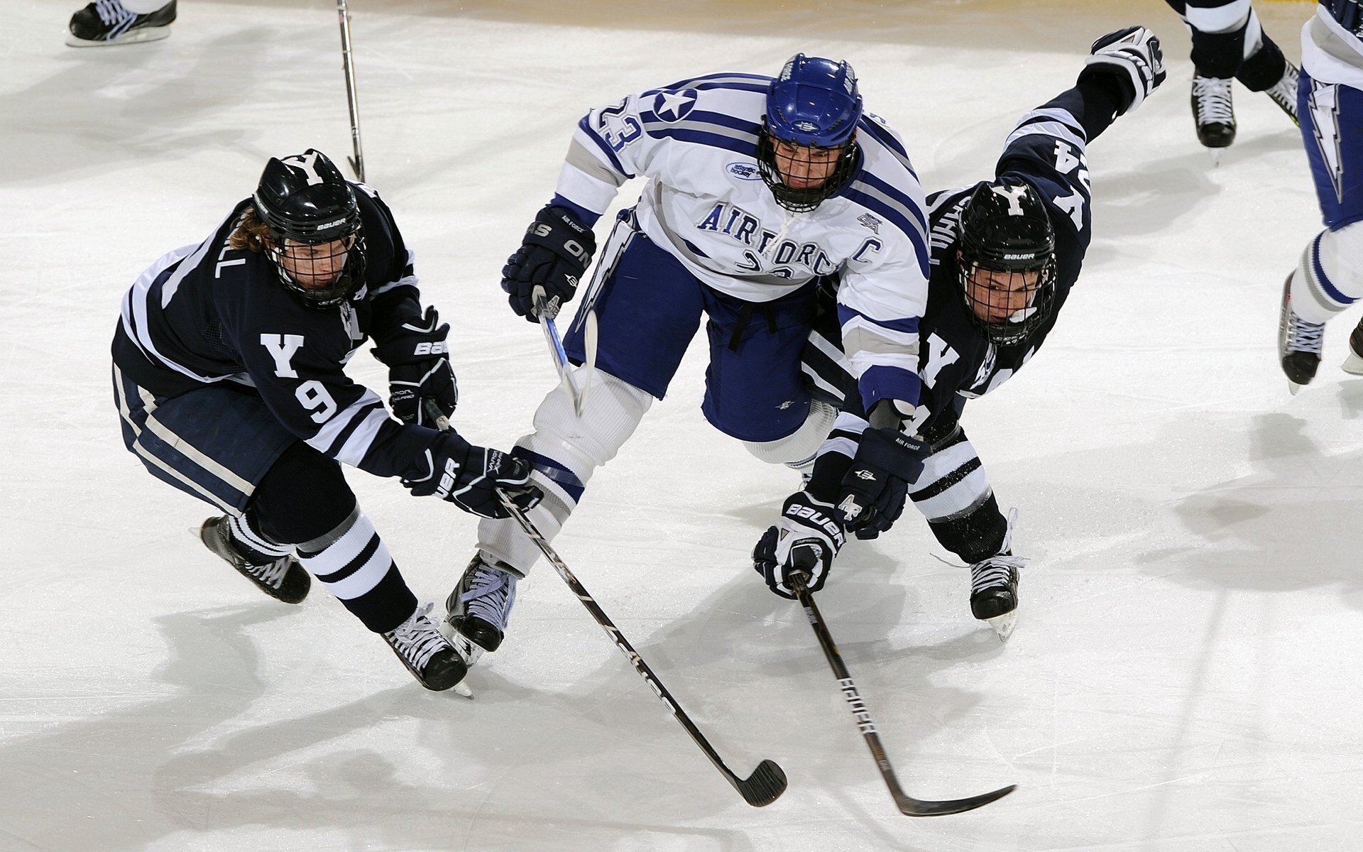 “舞步疾风，挑战极限！金牛区城北体育馆成全球运动舞蹈高手的竞技舞台”